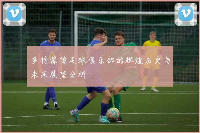 多特蒙德足球俱乐部的辉煌历史与未来展望分析