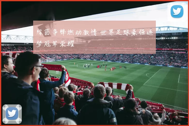 绿茵争锋燃动激情 世界足球豪强逐梦冠军荣耀