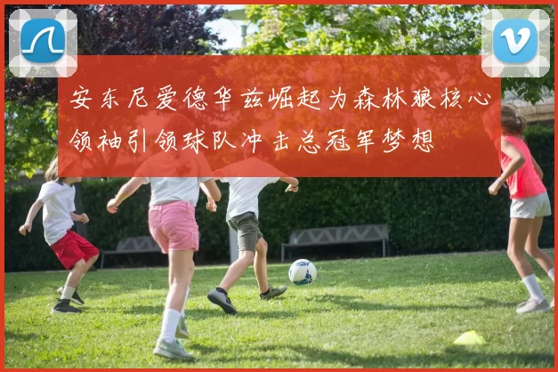 安东尼爱德华兹崛起为森林狼核心领袖引领球队冲击总冠军梦想