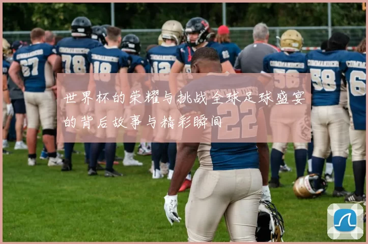 世界杯的荣耀与挑战全球足球盛宴的背后故事与精彩瞬间