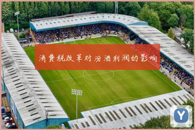 消费税改革对汾酒利润的影响