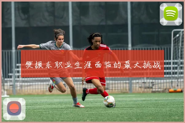 樊振东职业生涯面临的最大挑战